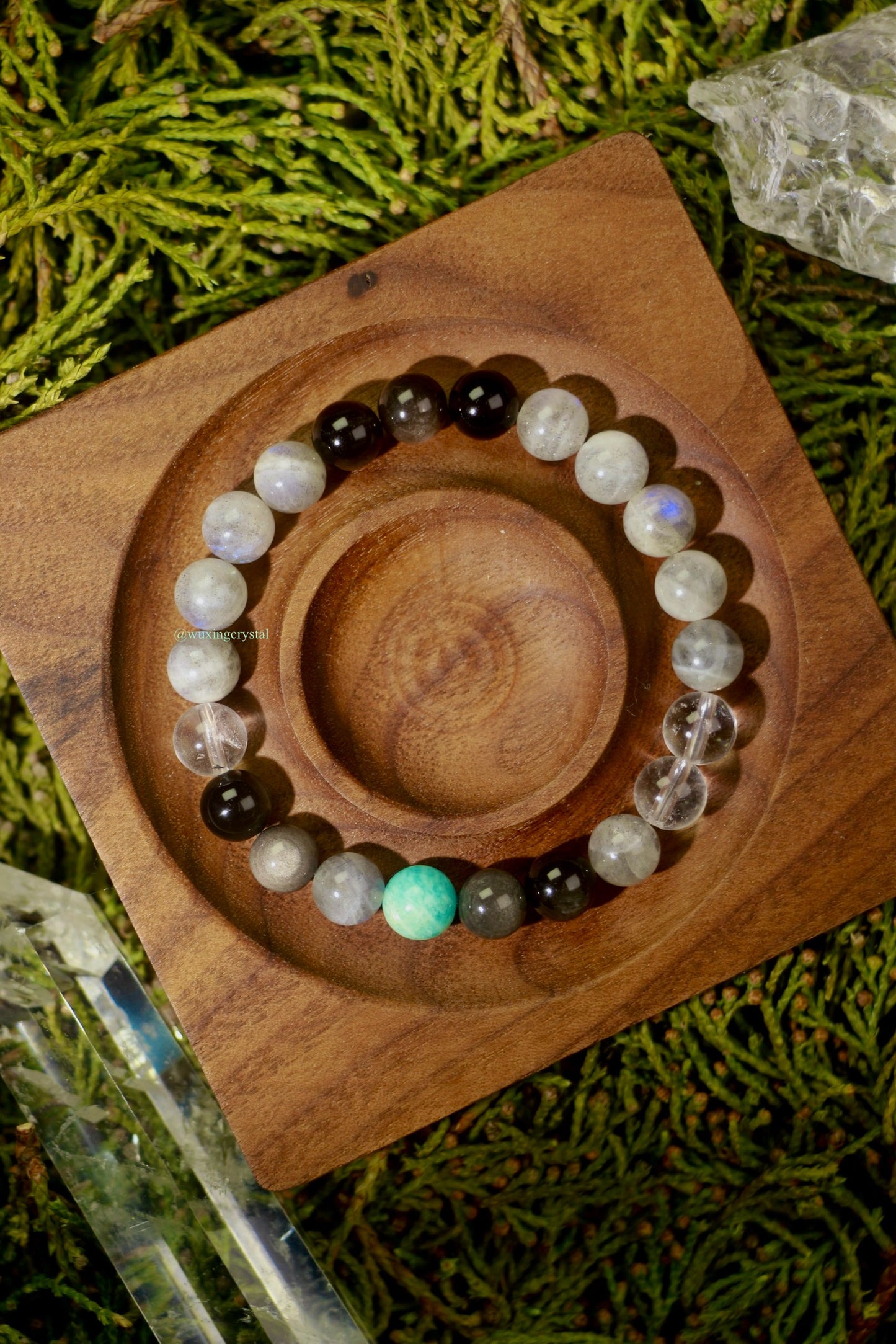 Roam the Cosmos - Special Design